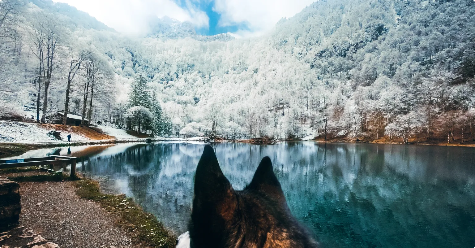 Imagen GoPro Hero 10 Black