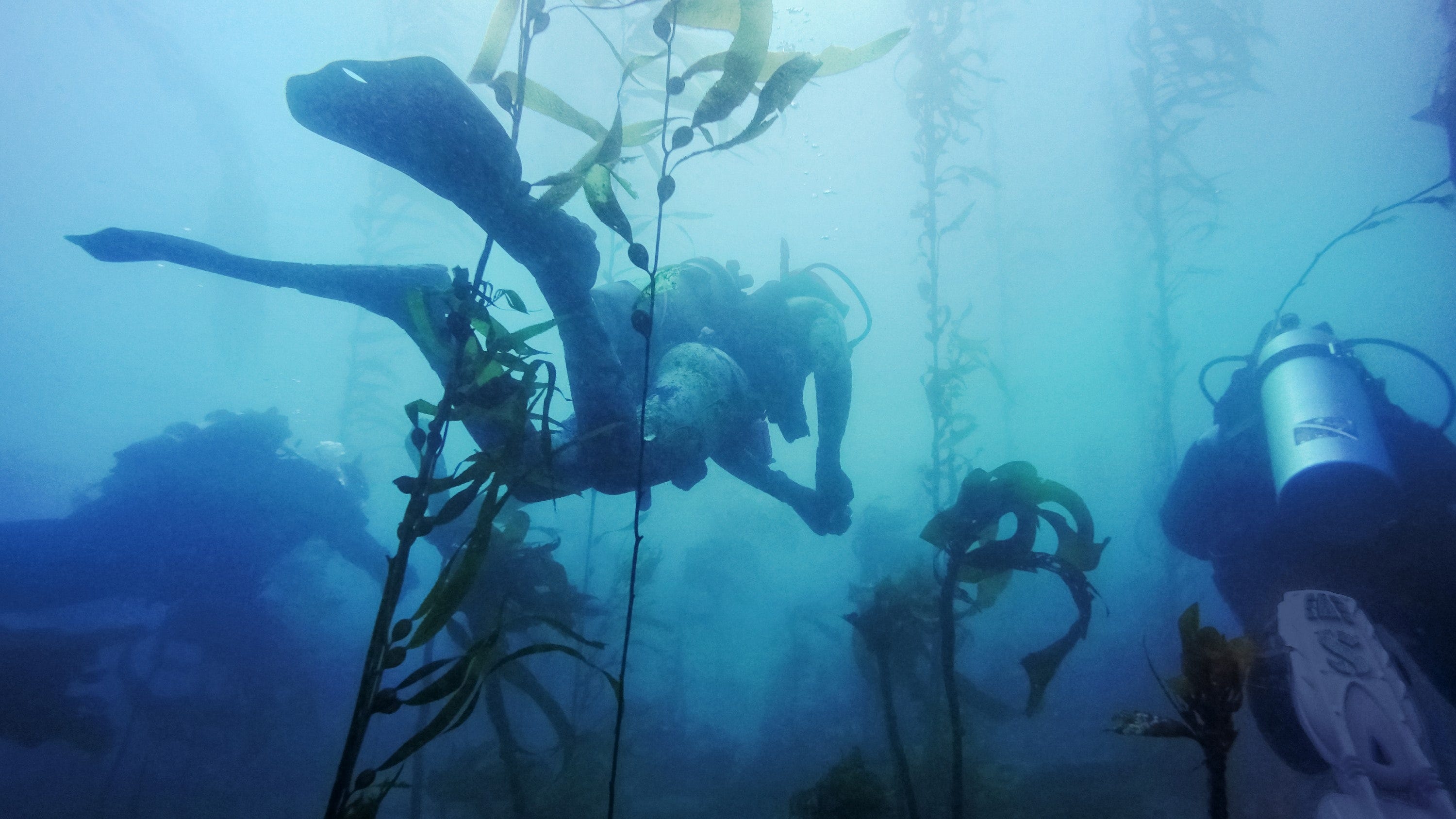 Gopro Hero 11 Custodia Subacquea Originale - Foto 9