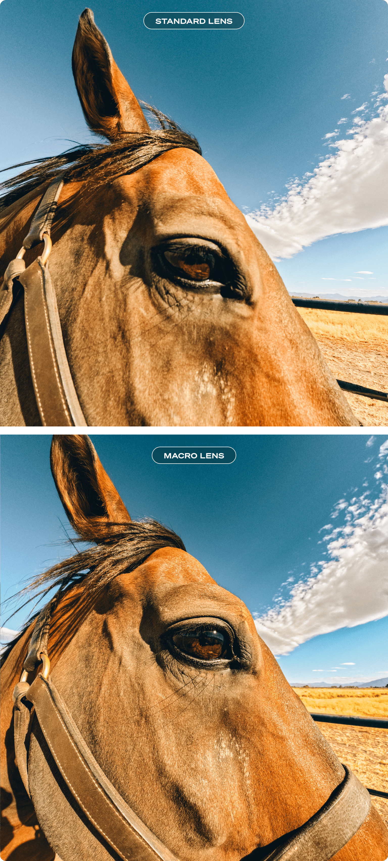 confronto obiettivo standard e mod per obiettivo macro