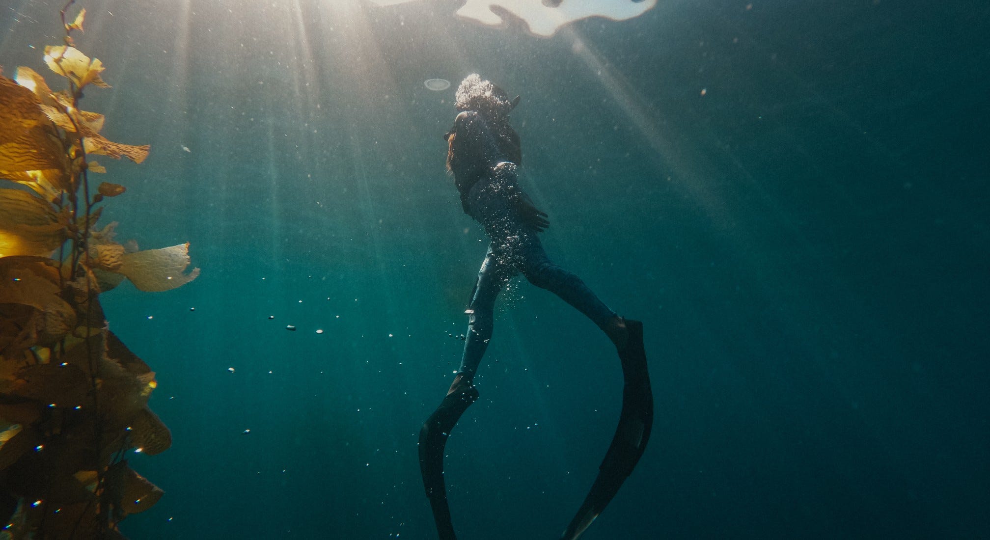 Дайвинг с водонепроницаемой экшн-камерой GoPro HERO11 Black