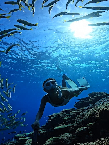 GoPro | Official Camera of Fun | Shop Now & Save