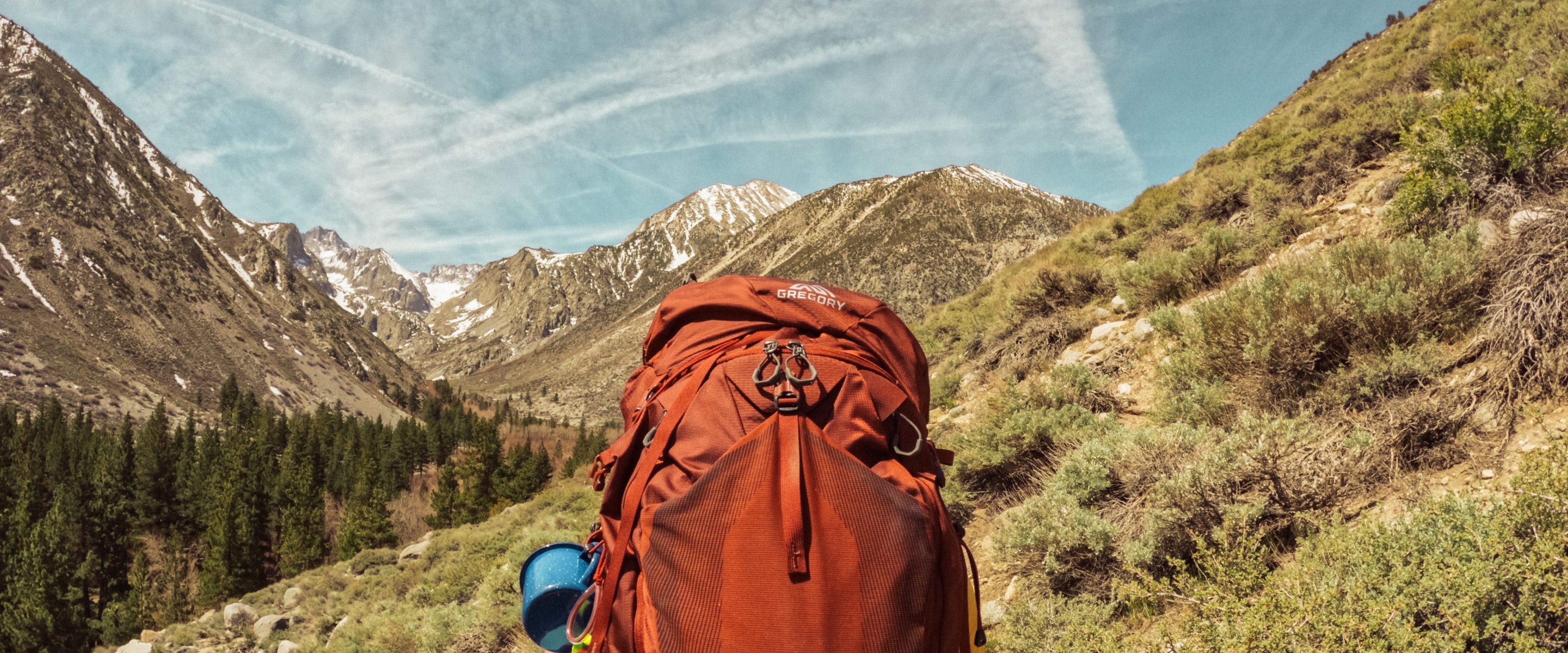 Backpack