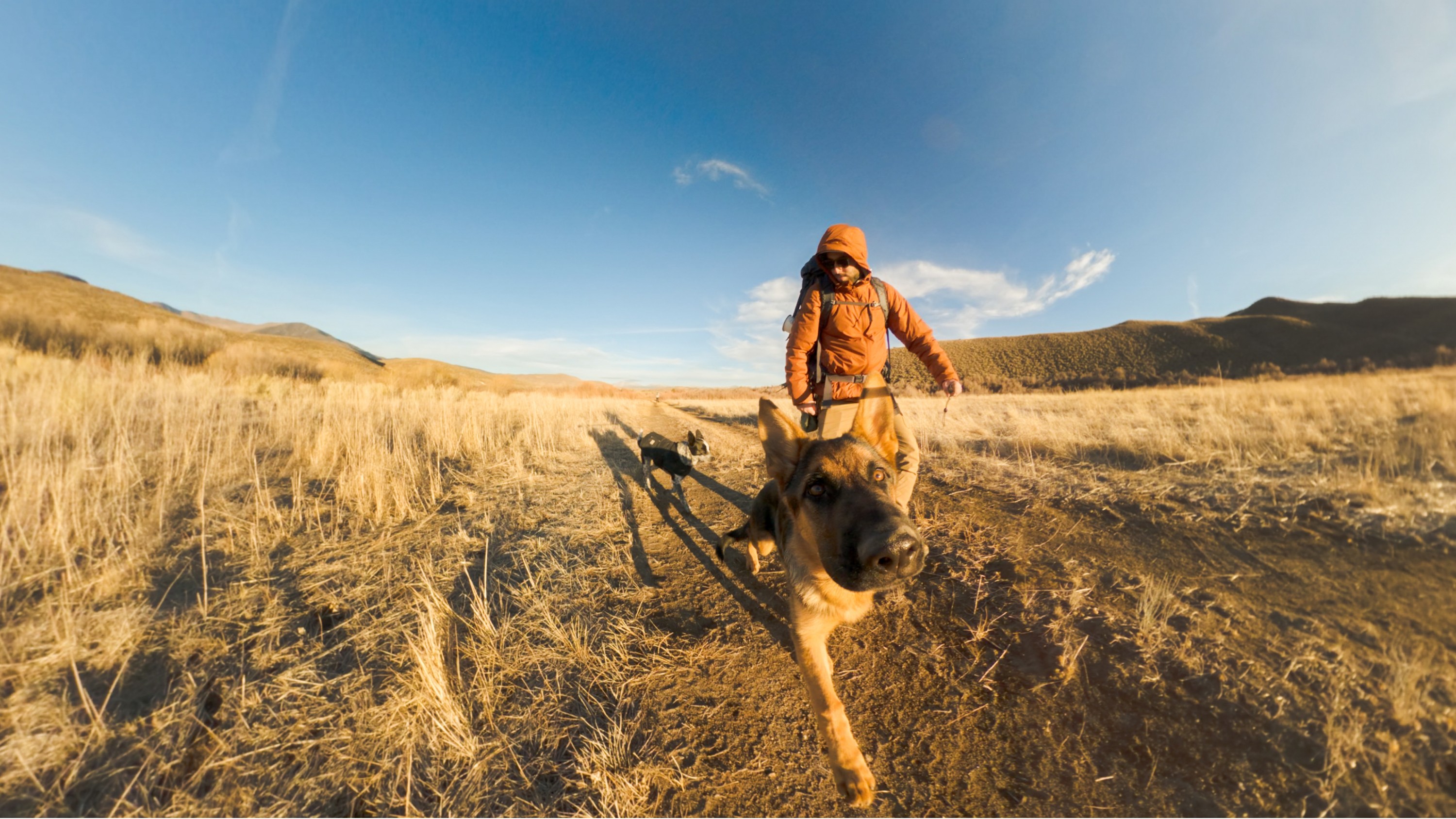 MAX2 Starter Bundle Image 6