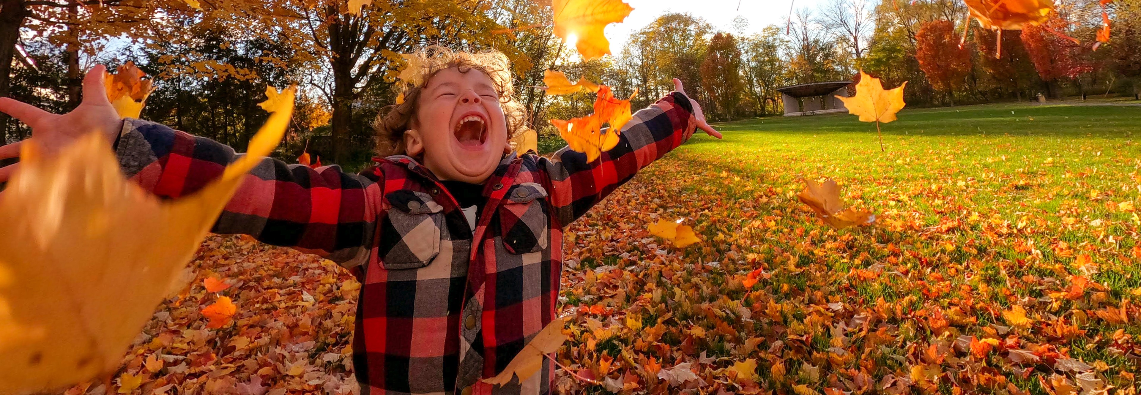 Designed for Kids + Pets