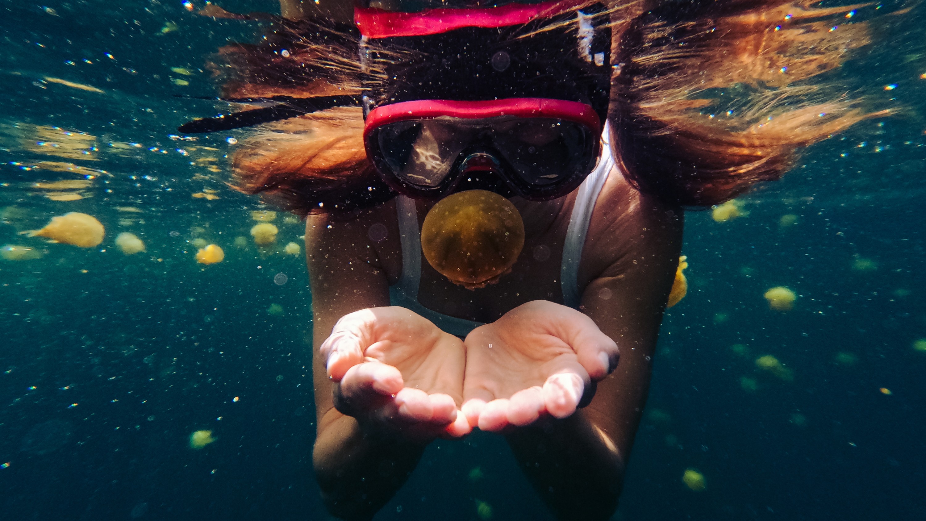 GoPro HERO Swim + Snorkel Bundle Image 3