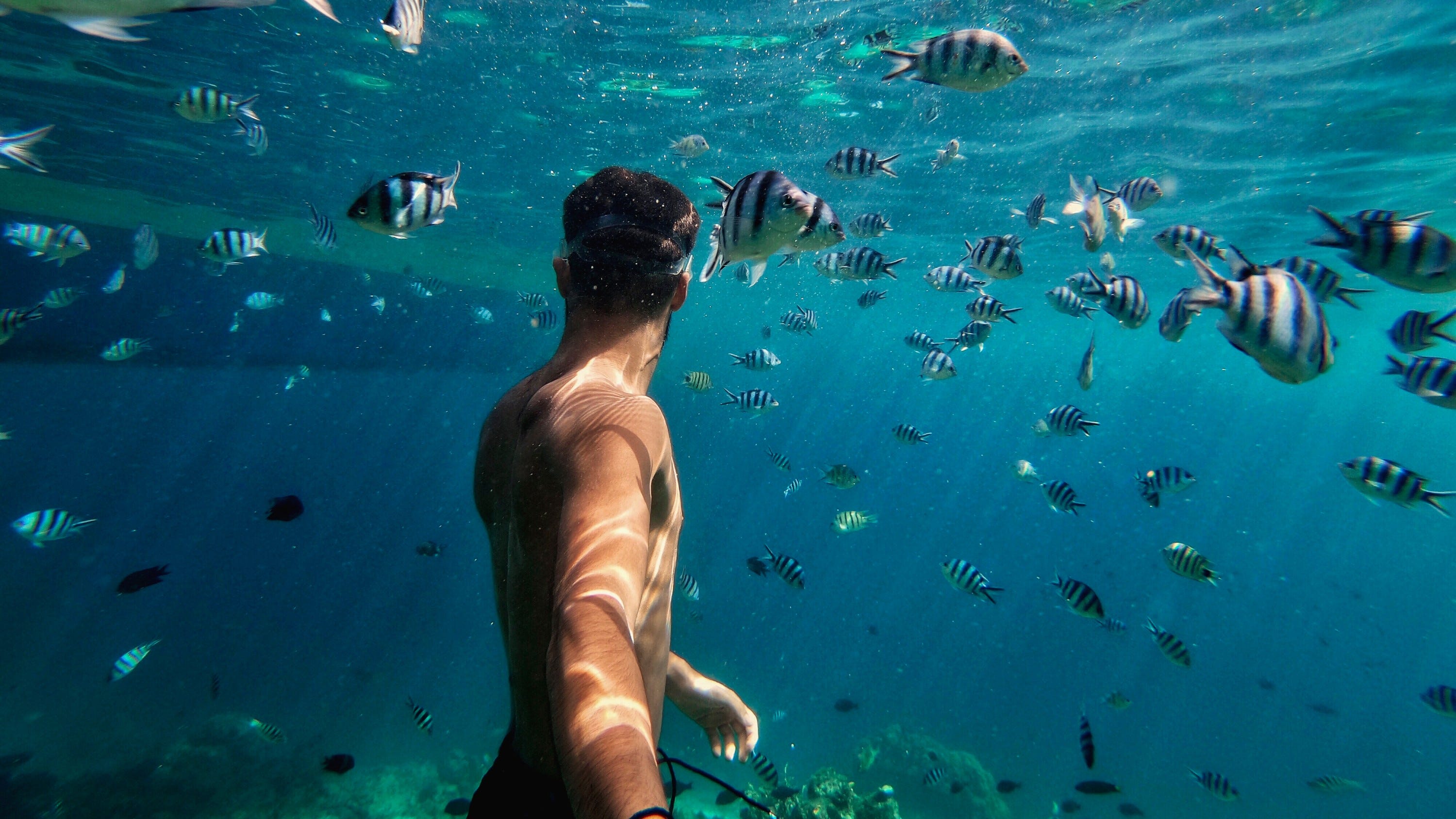 Protective Housing Waterproof Case (HERO8 Black) GoPro