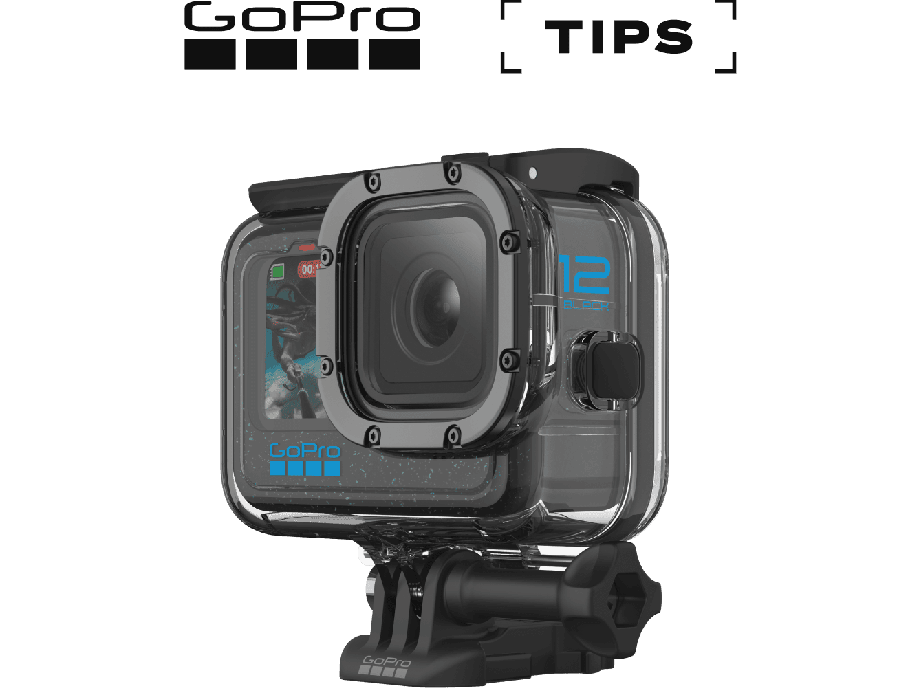 Protective Housing - Educational image