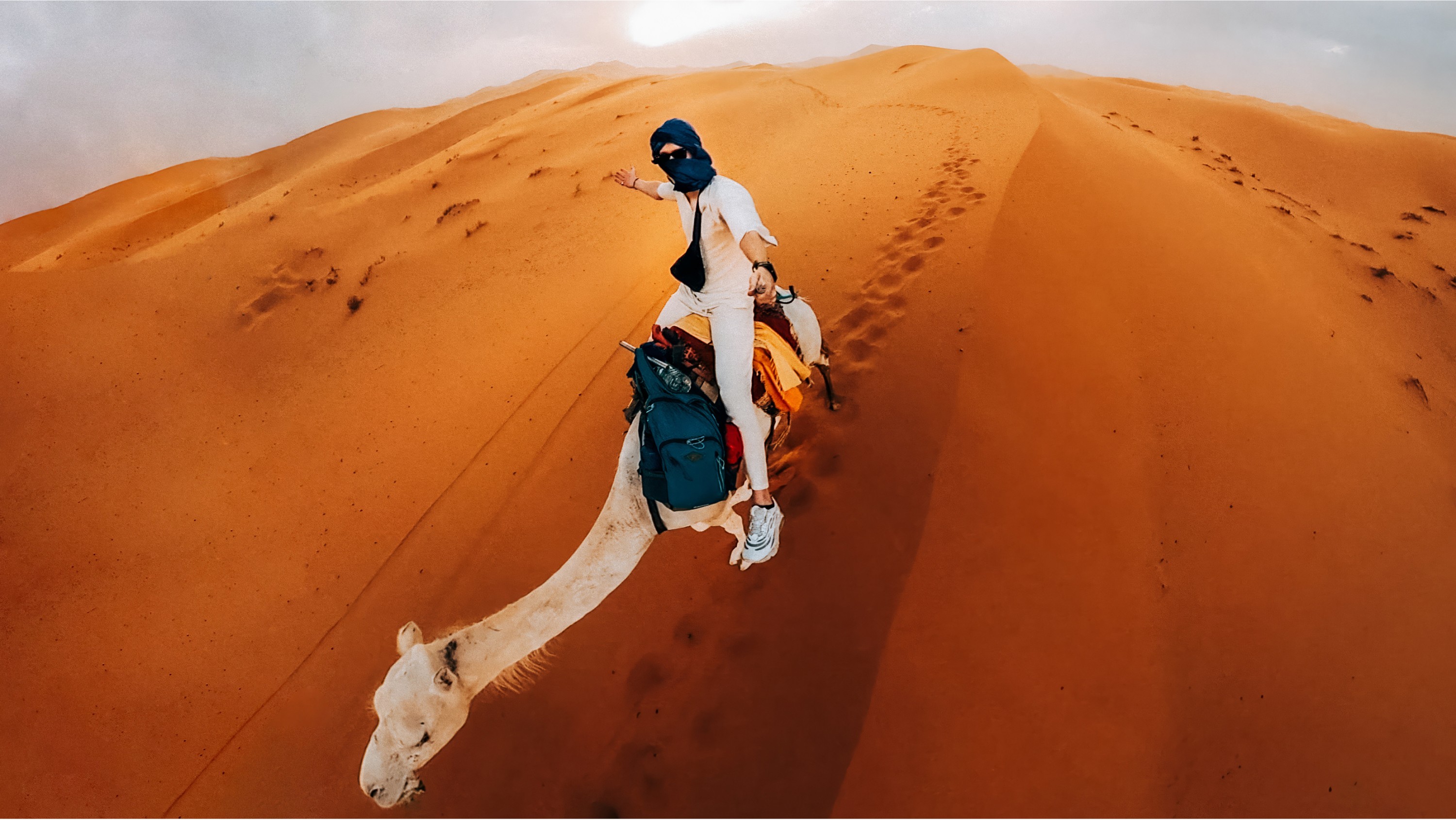 MAX2 Starter Bundle Image 3