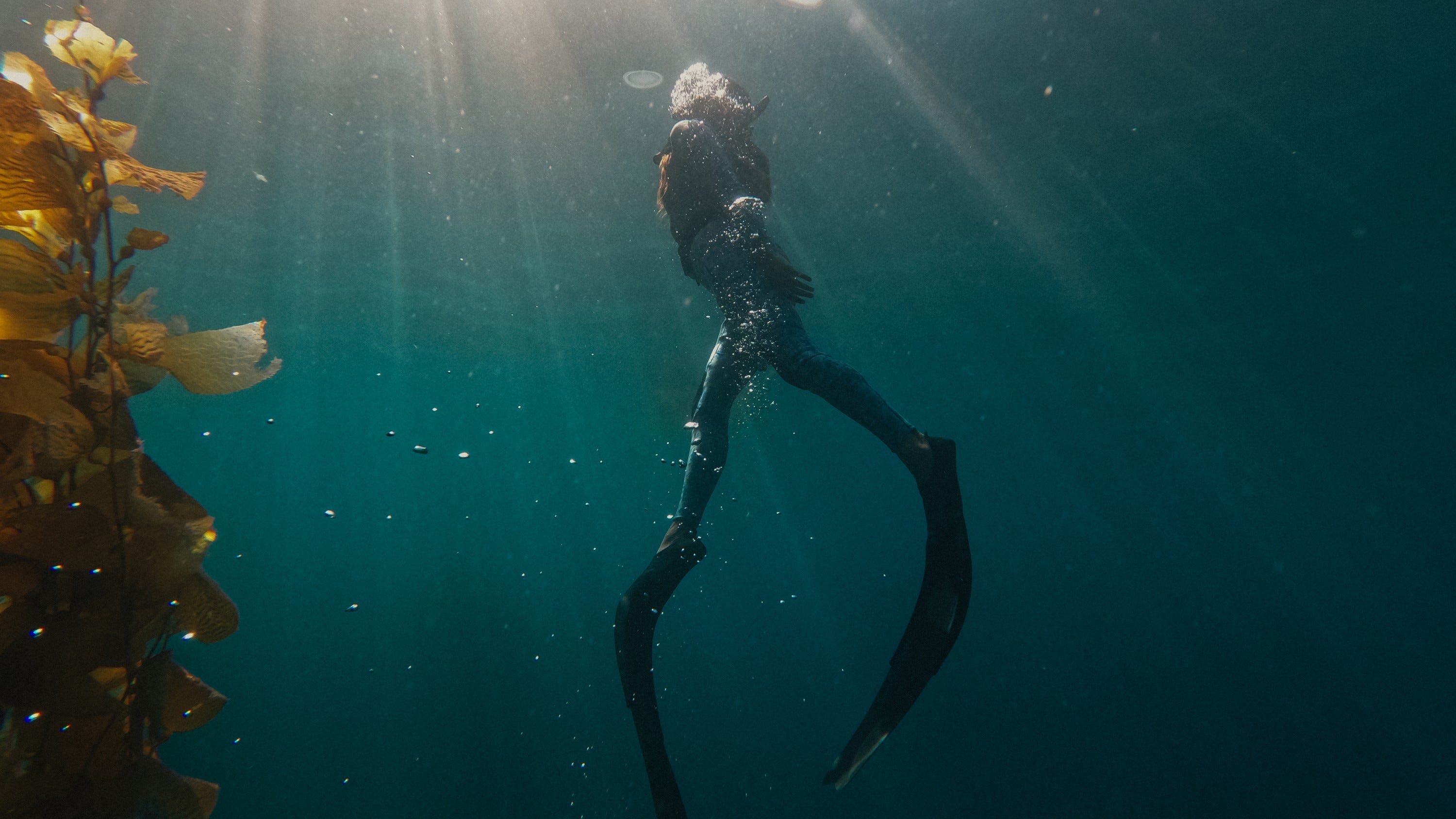 Diving with GoPro HERO11 Black Waterproof Action Camera