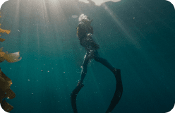 Diving with GoPro HERO11 Black Waterproof Action Camera