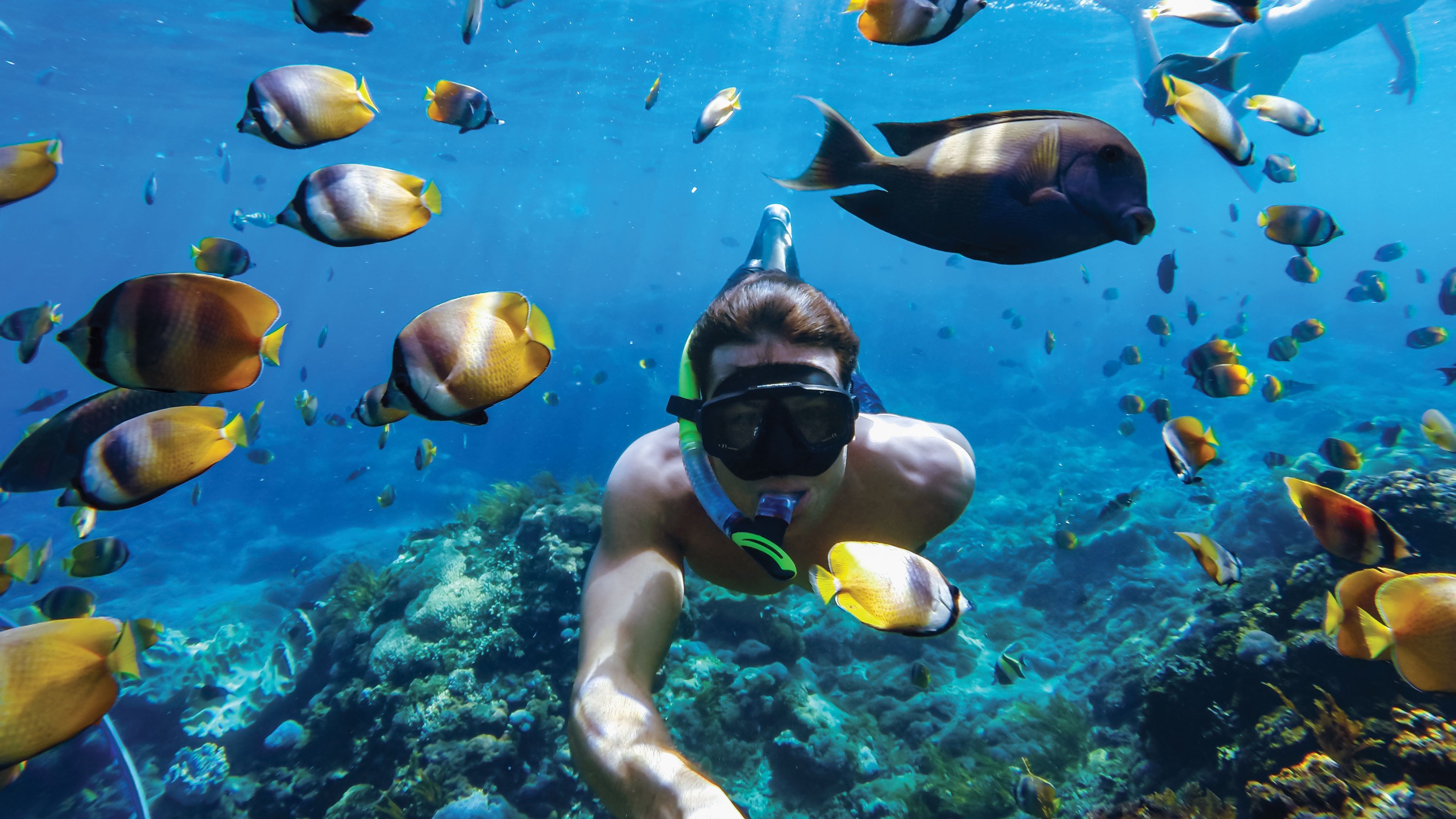 snorkeling using GoPro Camera Protective Housing + Waterproof Case