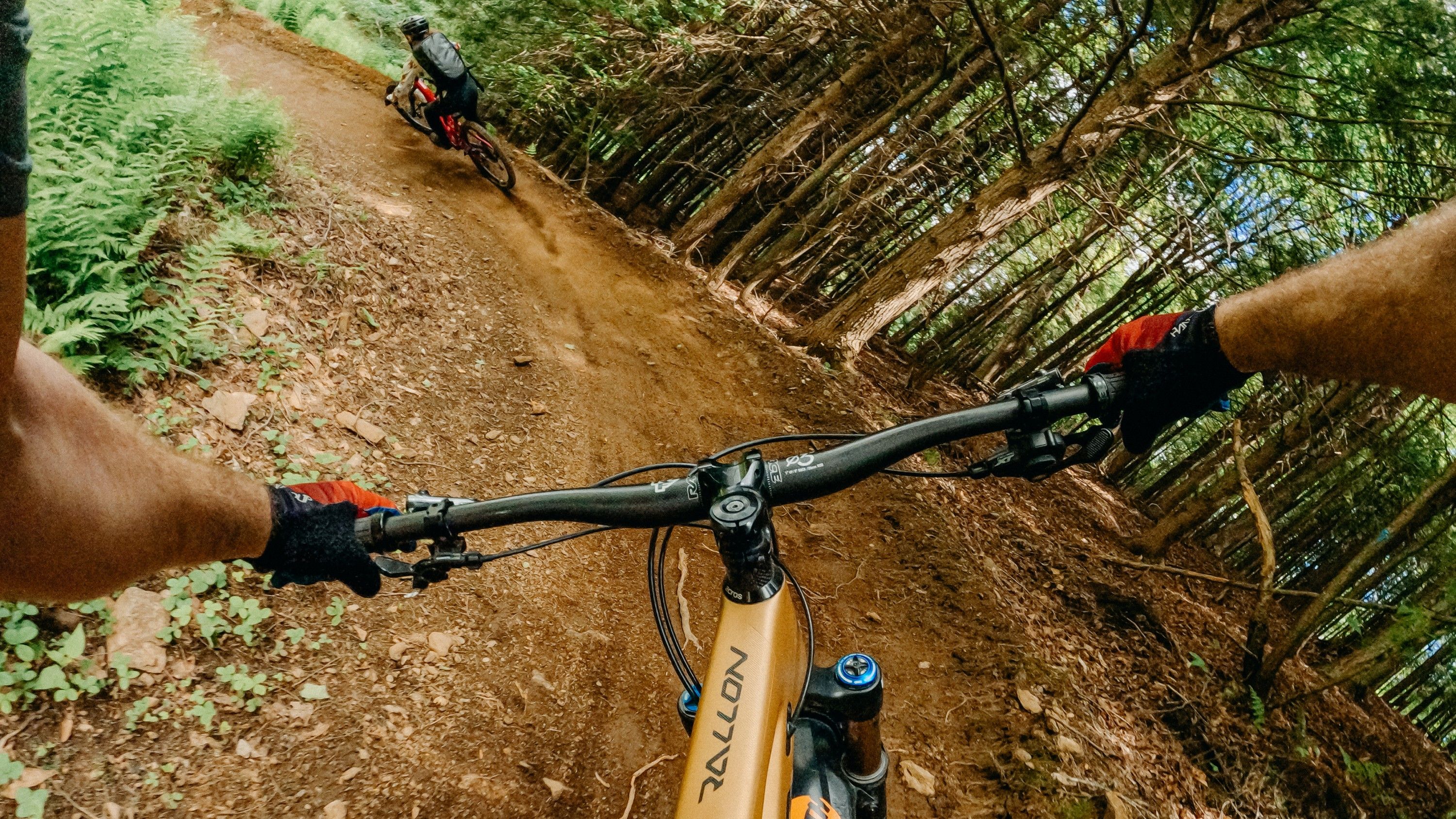 Chesty Performance Chest Camera Mount GoPro