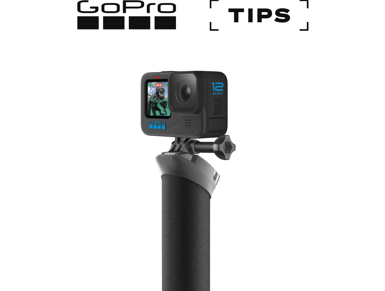 Bite Mount - Educational image