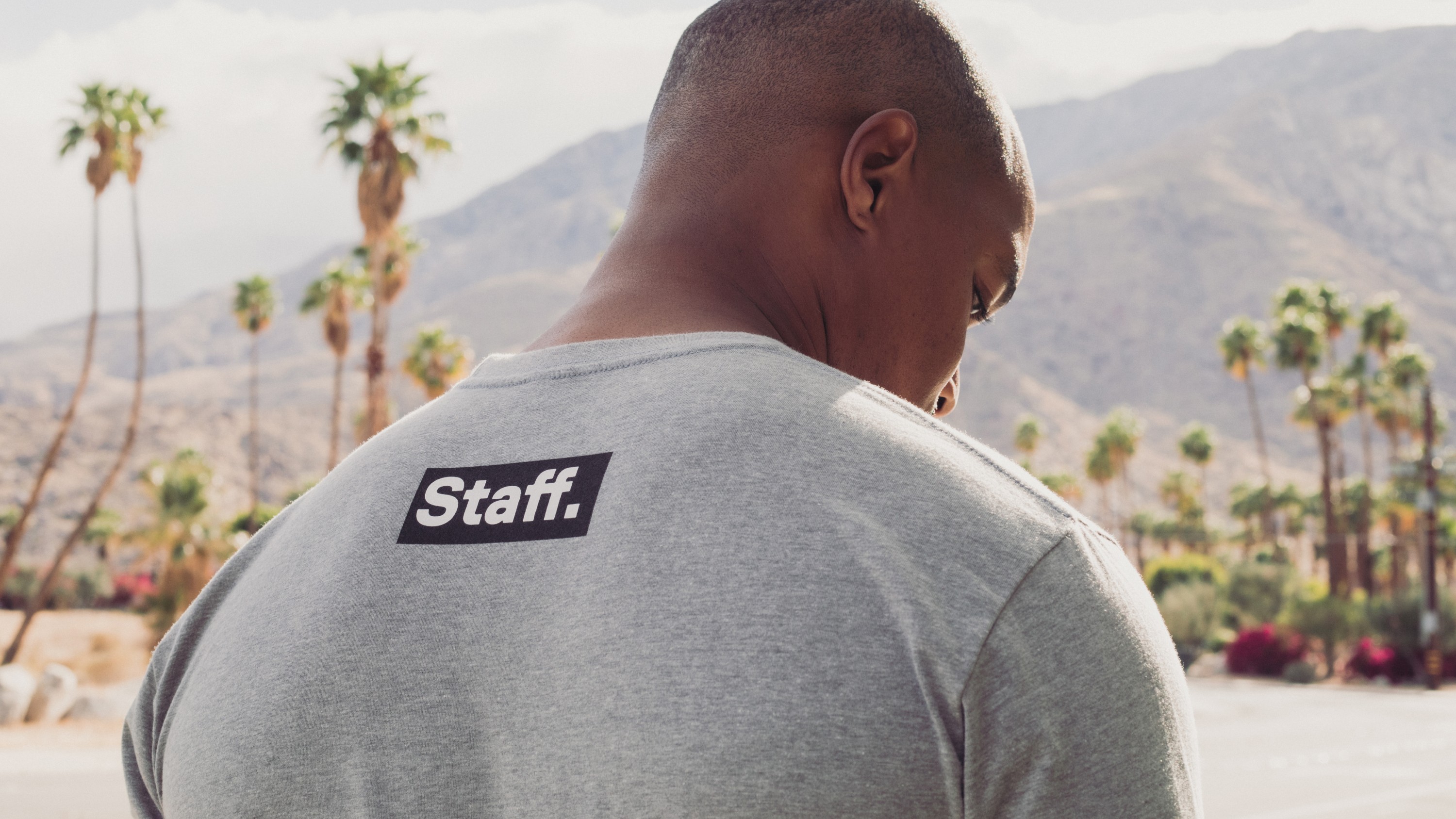 GoPro The Staffer – Logo T-Shirt (grey) - back design